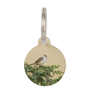 Médaillon Pour Animaux Moineau 