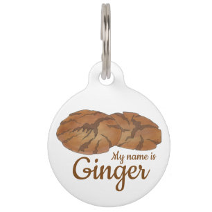 Médaillon Pour Animaux Mon nom est GINGER Gingersnap Cookie Biscuit
