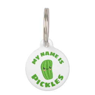 Médaillon Pour Animaux Mon nom est pickles