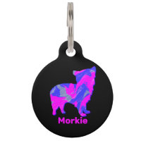 Morkie Chien fou Hot Rose & Blue