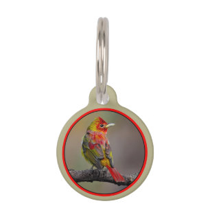 Médaillon Pour Animaux Moulage de Tangère - Photo originale