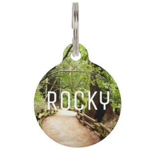 Médaillon Pour Animaux Muir Woods Path II Nature Photography