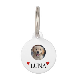 Médaillon Pour Animaux My Dog Personalized Photo & Name Round Pet Tag