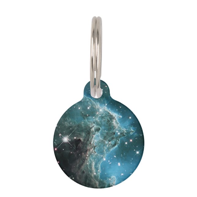 Médaillon Pour Animaux Nebula tête de singe bleu turquoise (Devant)
