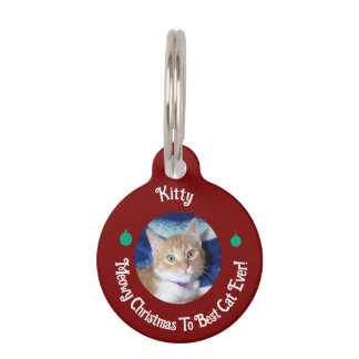 Médaillon Pour Animaux Noël, Meilleur Chat Ever , Photo de chat , 