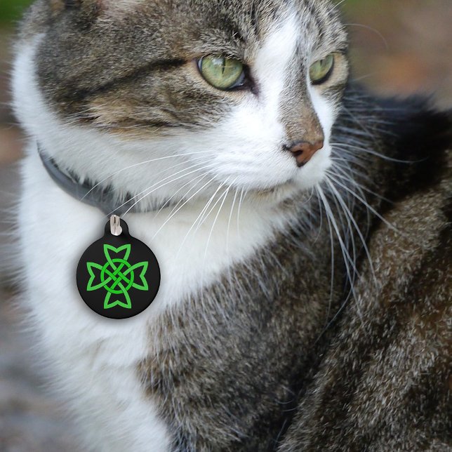 Médaillon Pour Animaux Nœud celtique vert irlandais (Bright green Irish Celtic looped knot design on black pet name tag.)