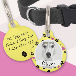 Médaillon Pour Animaux Nom de chien personnalisé Photo drôle d'empreintes