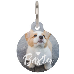 Médaillon Pour Animaux Nom du script de photo pour animaux de compagnie n