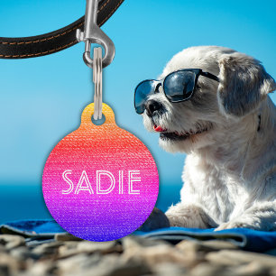 Médaillon Pour Animaux Nom et informations du chat Rainbow Retro