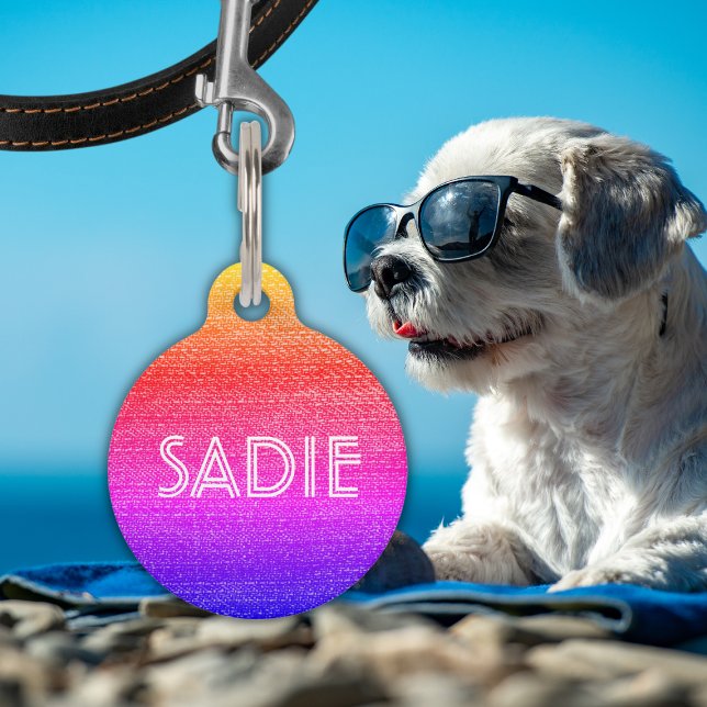 Médaillon Pour Animaux Nom et informations du chat Rainbow Retro (Créateur téléchargé)