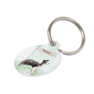 Médaillon Pour Animaux Nom personnalisé Bordure Collie chien animal