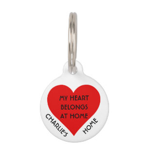 Médaillon Pour Animaux Nom personnalisé sur mesure