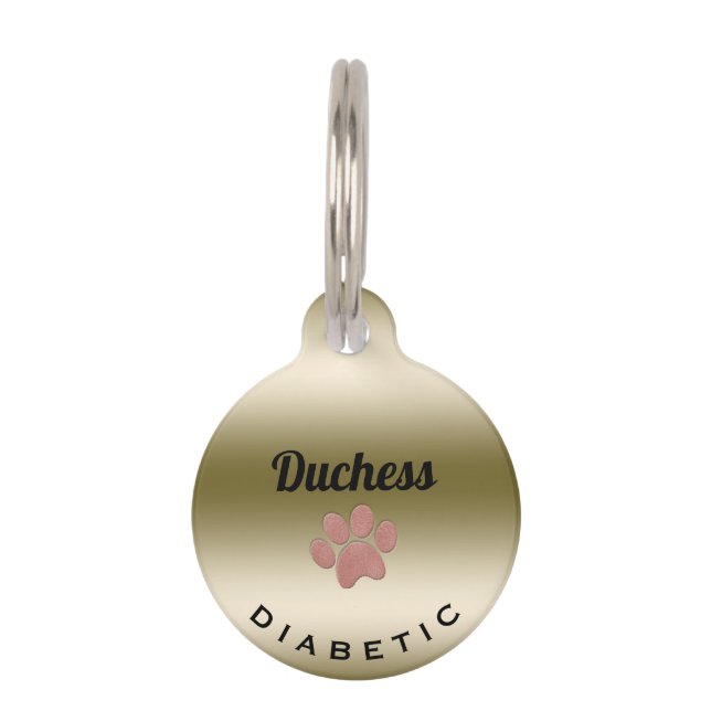 Médaillon Pour Animaux Numéro d'Empreinte de patte d'alerte Médicale diab (Devant)