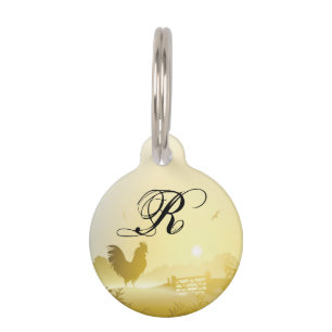 Médaillon Pour Animaux Numéro d'identification du chien personnalisé Numé