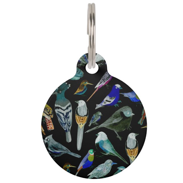 Médaillon Pour Animaux Oiseaux d'Amérique - animaux de compagnie et oisea (Devant)