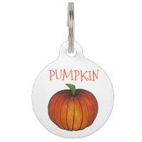 Orange Citrouille Patch Thanksgiving Halloween Aut