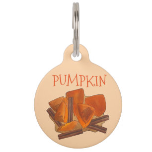Médaillon Pour Animaux Orange Citrouille Patch Thanksgiving Halloween Aut