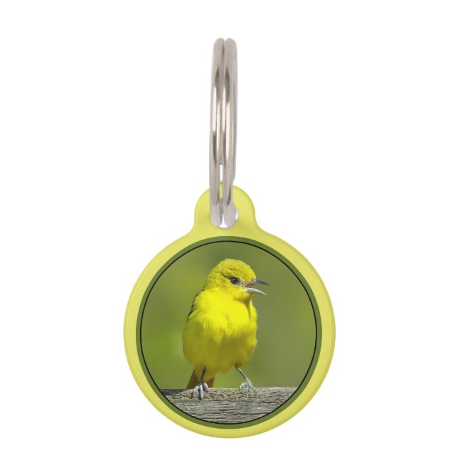 Médaillon Pour Animaux Orchard Oriole - Photo originale (Devant)