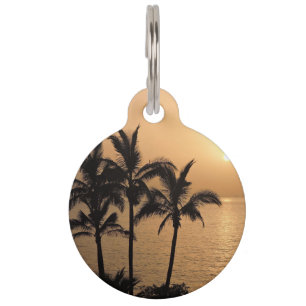 Médaillon Pour Animaux Palmiers et coucher du soleil romantique