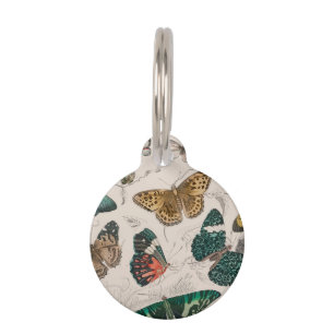 Médaillon Pour Animaux Papillons Collection Antique Papillons
