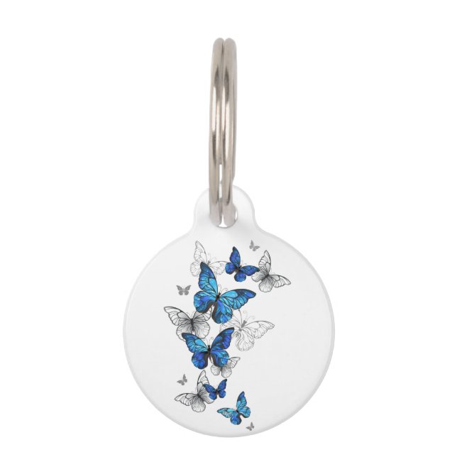 Médaillon Pour Animaux Papillons volants bleus Morpho (Devant)