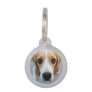 Médaillon Pour Animaux Parties scintillant d'argent Propriétaires de chie