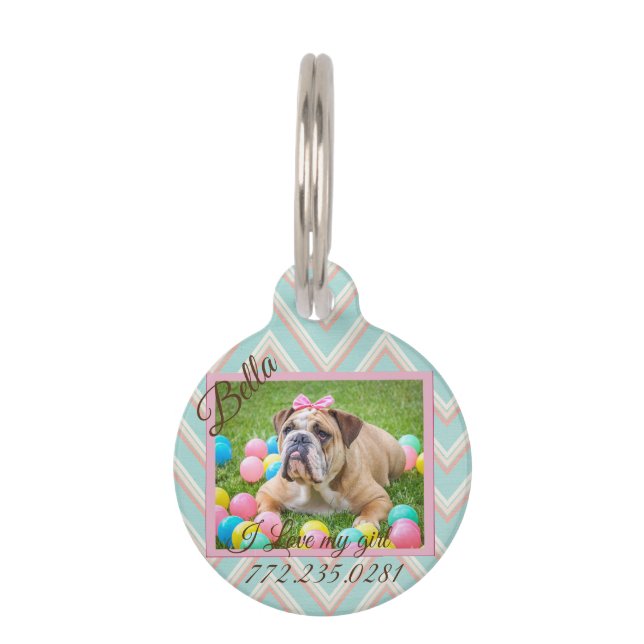 Médaillon Pour Animaux Pastel Chevron Chien Photo personnalisée (Devant)