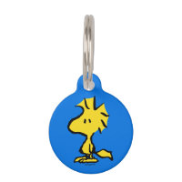 Peanuts | Snoopy's Friend Woodstock