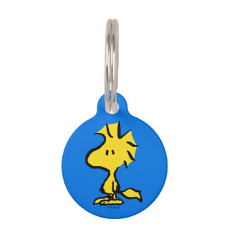 Médaillon Pour Animaux Peanuts | Snoopy's Friend Woodstock