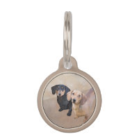 Peinture de Dachshund (Smooth) - Art original de c