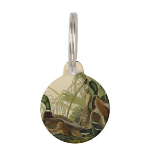 Médaillon Pour Animaux Peinture d'oiseaux de Mallard Duck Audubon