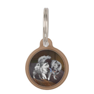Médaillon Pour Animaux Peinture Keeshond Playtime - Jolie art original ch