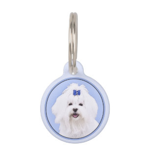 Médaillon Pour Animaux Peinture maltaise - Joli art original pour chien