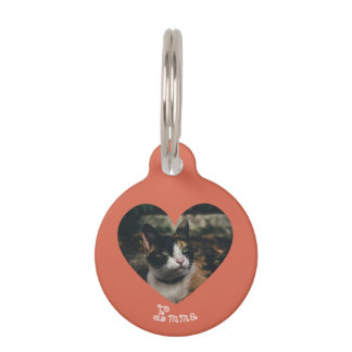 Médaillon Pour Animaux Personalizable Ornament
