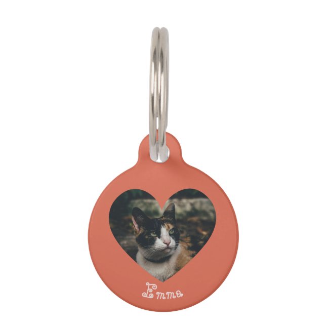 Médaillon Pour Animaux Personalizable Ornament (Devant)