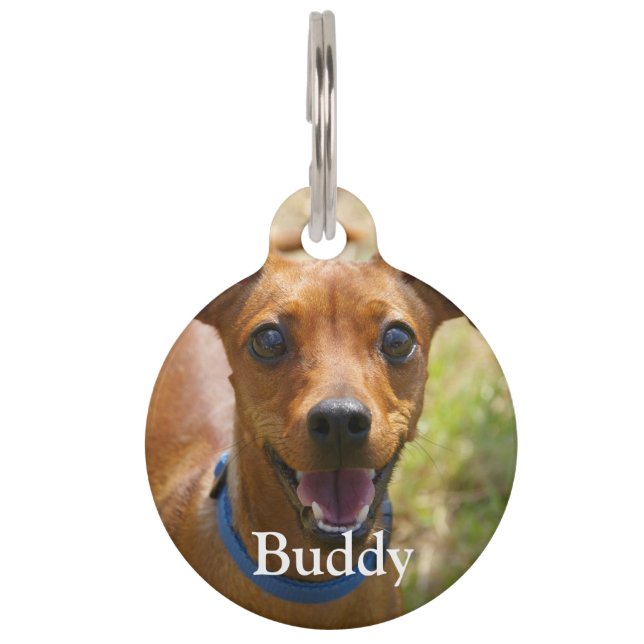 Médaillon Pour Animaux Personnalisé ajoutez votre photo préférée de chien (Devant)