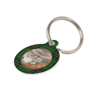 Médaillon Pour Animaux Personnaliser Chat Vert Forbes Tartan