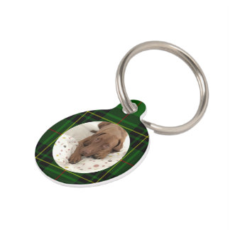 Médaillon Pour Animaux Personnaliser Chien Vert Forbes Tartan