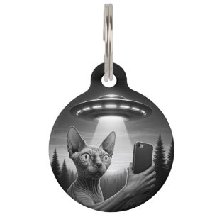 Médaillon Pour Animaux Personnaliser Sphynx Chat Drôle Étiquette d'ident
