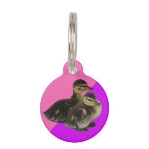 Médaillon Pour Animaux **Personnalisez** Bébés Canards sur Sorbet rose et