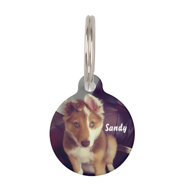 Médaillon Pour Animaux Personnalisez votre propre (Devant)