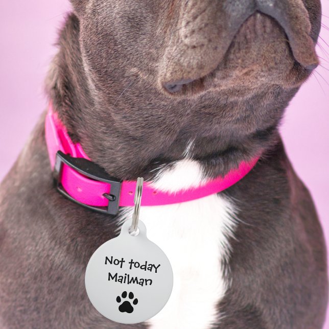 Médaillon Pour Animaux Pet Chien Pas aujourd'hui Mailman & Paw Funny Pers (Créateur téléchargé)