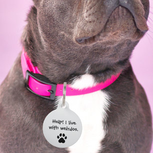 Médaillon Pour Animaux Pet Dog Aide Je vis avec des weirdos Funny Personn