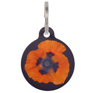 Médaillon Pour Animaux Peuplier orange écarlate 1