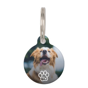 Médaillon Pour Animaux Photo Chien Animaux De Compagnie Monogramme Contac