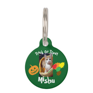 Médaillon Pour Animaux Photo de chat roux et texte, personnalisable, Hall