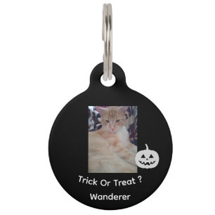Médaillon Pour Animaux Photo de chat, Texte d'Halloween, Nom, Personnalis