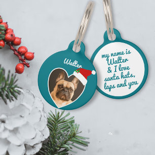 Médaillon Pour Animaux Photo de chien de Noël Santa Hat Turquoise Heart F
