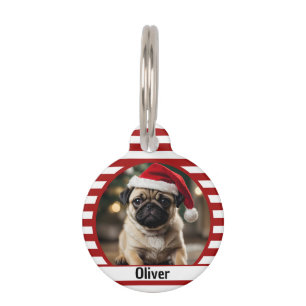 Médaillon Pour Animaux Photo de compagnie personnalisée