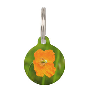 Médaillon Pour Animaux Photo de fleur de pavot orange Nom et numéro de té